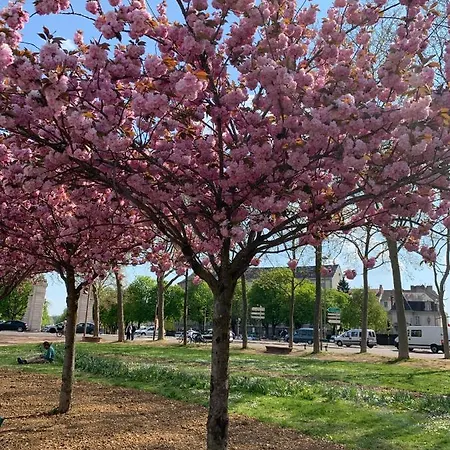 Appartamento Le Petit Duc