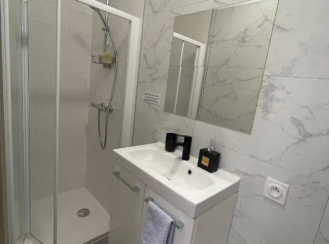 Apartman Le Petit Duc Dijon