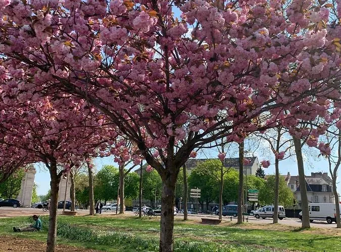 Appartement Le Petit Duc